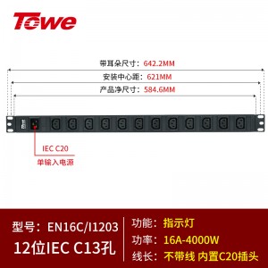 C20输入 12位IEC C13