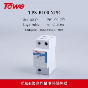 TPS NPE(B100)