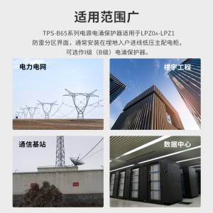 TOWE同为加强型65KA压敏型过电压保护器二级C级保护可选做B级防护