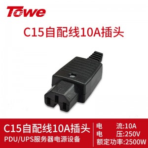 TOWE 同为()C13/C14自接线插头C19/C20英标美标德标国标10A转通用孔插头转换器 10A C15插头TW-F-CT-C15