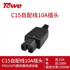 TOWE同为C13/C14自接线插头C19/C20英标美标德标国标10A转通用孔插头转换器 10A C15插头TW-F-CT-C15