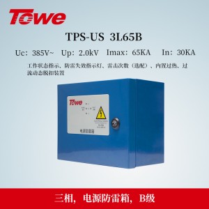 TPS-US 3L-65B