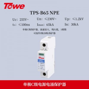 TPS NPE(B65)