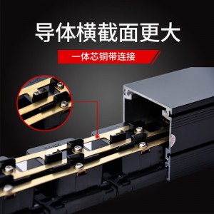 TOWE同为8位pdu电源机柜插座基础款10a PDU电源分配器国标10A IDC机房数据中心PDU排插国标总控10A 8位10A多用孔，EN10/W801K