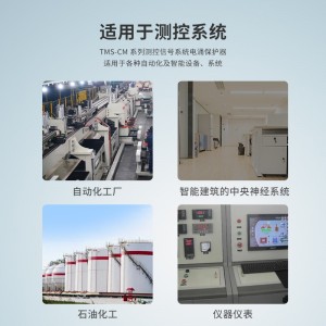 TOWE同为CM系列超薄测控信号系统电涌保护器 附带熔断器回路保护 适用于各种过程I/O 适用RS232/422/485 可用于本安电路 TMS-CM05R/TMS-CM12R/CM24R/CM48R