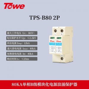 TPS B80 2P 单相 Imax:80KA
