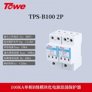 TPS B100 2P 单相 Imax:100KA