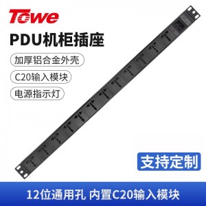 TOWE同为C20输入16A自接线不带线PDU输出国标10A插孔C20输入国标PDU内置C20输入模块12位10A多用孔模块+指示灯，EN16C/W1201