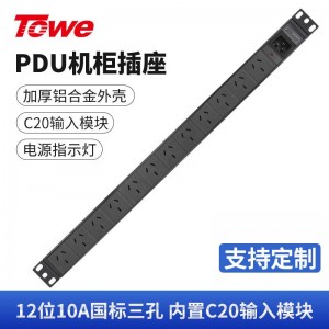 TOWE同为C20输入16A自接线不带线PDU输出国标10A插孔C20输入国标PDU内置C20输入模块12位国标10A三孔模块+指示灯，EN16C/G1209