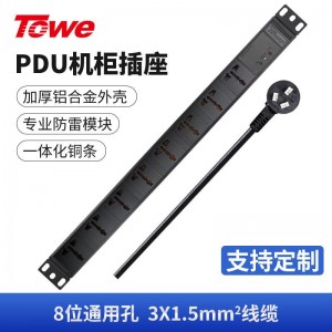 TOWE同为工业三级防雷PDU安全机柜插座SPD防浪涌防电涌防雷击10A机房插座插排插线板 国标10A专业防雷 8位10A多用孔，EN10/W816S