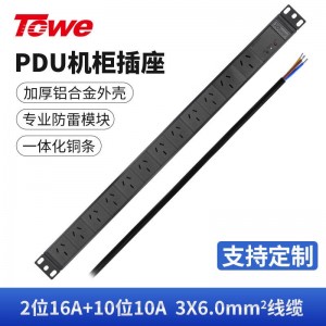 TOWE同为国标竖装工业三级防雷大功率PDU安全机柜插座 SPD防浪涌防电涌 国标竖装专业防雷 2位国标16A+10位国标三孔10A，EN32/G1206S
