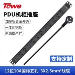 TOWE同为输入国标16A竖装垂直安装pdu工业安全机柜插座 输出国标10A IDC机房数据 12位国标16A竖装基础款 12位10A国标五孔，EN16/G1202