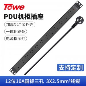 TOWE同为输入国标16A竖装垂直安装pdu工业安全机柜插座 输出国标10A IDC机房数据 12位国标16A竖装基础款 12位10A国标三孔，EN16/G1209
