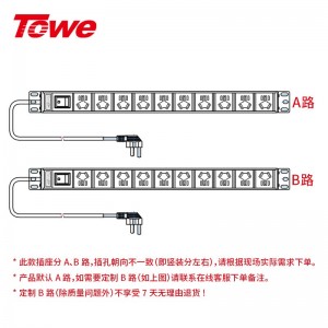 TOWE同为输入国标10A竖装垂直安装pdu工业安全机柜插座 输出国标10A IDC机房数据 10位国标10A竖装经济款 10位国标五孔10A，EN10/G1001K