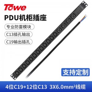 TOWE同为国际通用IEC C13C19竖装工业三级防雷大功率PDU安全机柜插座 SPD防浪涌 竖装IEC插孔专业防雷 4位C19+12位C13，EN32/I1601S
