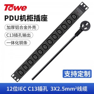 TOWE同为IEC C13工业电源PDU电源机柜插座 国际通用IEC 10A品字尾机柜PDU插座 竖装IEC插孔基础款 12位10A IEC C13，EN16/I1203
