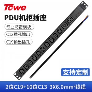 TOWE同为国际通用IEC C13C19竖装工业三级防雷大功率PDU安全机柜插座 SPD防浪涌 竖装IEC插孔专业防雷 2位C19+10位C13，EN32/I1207S