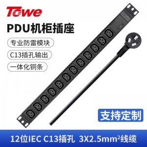 TOWE同为国际通用IEC C13C19竖装工业三级防雷大功率PDU安全机柜插座 SPD防浪涌 竖装IEC插孔专业防雷 12位10A IEC C13，EN16/I1203S
