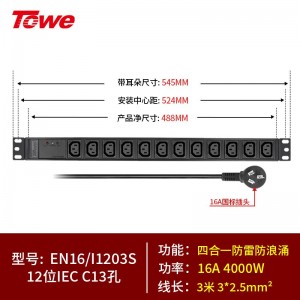 TOWE同为国际通用IEC C13C19竖装工业三级防雷大功率PDU安全机柜插座 SPD防浪涌 竖装IEC插孔专业防雷 12位10A IEC C13，EN16/I1203S