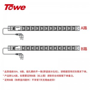 TOWE同为国际通用IEC C13C19竖装工业三级防雷大功率PDU安全机柜插座 SPD防浪涌 竖装IEC插孔专业防雷 12位10A IEC C13，EN16/I1203S
