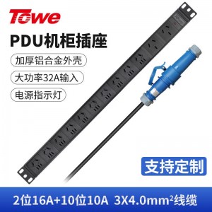 TOWE同为大功率16A/32A工业连接器插头插座PDU机柜插座 带工业插头PDU机柜插座 IDC机房 2位国标16A +10位10A国标五孔，EN32G/G1205