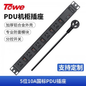 TOWE同为分控pdu机柜机架机箱插座 单开单控工业工程插排 水族鱼缸专用安全插座 分控工业PDU插座 5位10A新国标五孔，EN10/G502KS