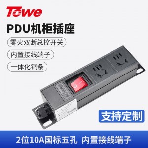 TOWE同为经济型大功率4000W自接线2位/3位/4位/5位机柜插座工业机架操作台弱电箱插排 总控短款工业插座 2位10A国标五孔，EN16D/G203K