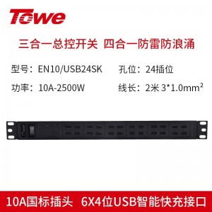 TOWE同为工业级多口多路usb智能插座usb充电器pdu插排 刷机拷机usb智能快充PDU机柜插座 6x4位一体式USB智能快充接口，EN10/USB24SK