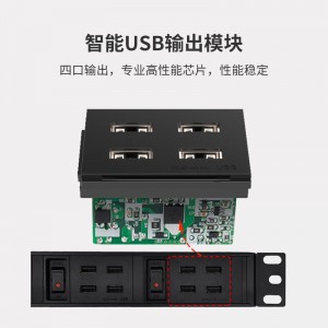 TOWE同为工业级多口多路usb智能插座usb充电器pdu插排 刷机拷机usb智能快充PDU机柜插座 6x4位一体式USB智能快充接口，EN10/USB24SK