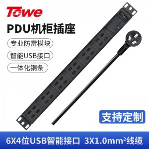 TOWE同为工业级多口多路usb智能插座usb充电器pdu插排 刷机拷机usb智能快充PDU机柜插座 6x4位一体式USB智能快充接口，EN10/USB24S