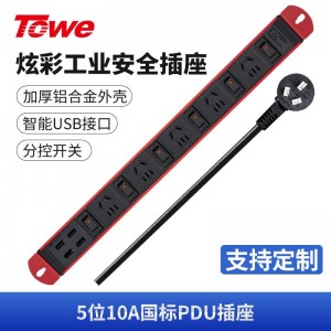 TOWE同为高端pdu机柜插座10A分控单开单控带USB供电工业工程插排 炫彩系列 分控USB炫彩PDU插座 5位10A新国标五孔，EN10/C56KU中国红