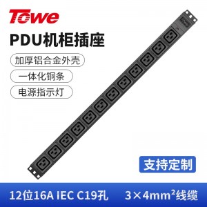 TOWE同为12位16A IEC C19 不带插头pdu，可选配工业连接器，带电源指示灯 EN32/I1208