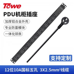 TOWE同为国标竖装工业三级防雷大功率PDU安全机柜插座 12位国标10A五孔+4合一专业防雷，EN16/G1202S