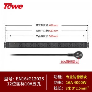 TOWE同为国标竖装工业三级防雷大功率PDU安全机柜插座 12位国标10A五孔+4合一专业防雷，EN16/G1202S