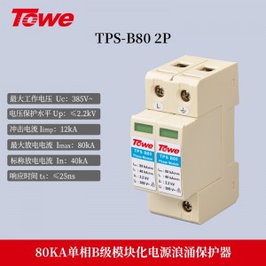 TPS B80 2P 单相 Imax:80KA