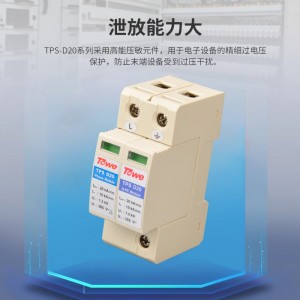 TOWE同为标准型D级电源电涌保护器组合 第三级D级20KA压敏型过电压保护器 单相三相低压配电系统模块化电源电涌保护器 2P/3P/4P工业电源SPD防雷器避雷器浪涌抑制器 TPS D20/NPE