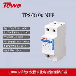 TPS NPE(B100) 单极 Iimp:30KA