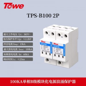 TPS B100 2P 单相 Imax:100KA