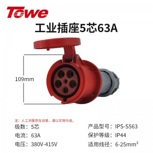 IPS-S563 五芯63A母头