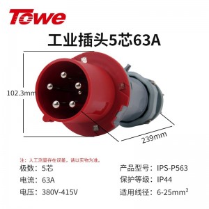 IPS-P563 五芯63A公头