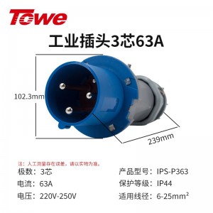 IPS-P363 三芯63A公头