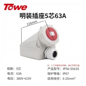 IPS6-S563S 尼龙 3P+N+E 五芯 63A 380-415V IP67