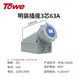 IPS6-S363S 尼龙 2P+E 三芯 63A 220V-250V IP67