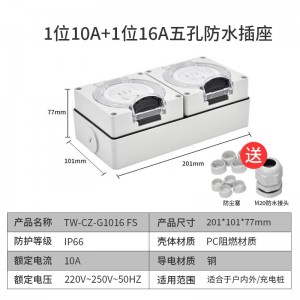 TW-CZ-G1016 FS 双联1位新国标五孔10A，1位国标五孔16A，250V IP66