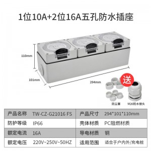 TOWE同为IP66国标10A 16A户外防水开关插座 户外防暴雨国标五孔插座 明装防水插座可浸泡水组合式防水插座 TW-F-CZ-G10 FS/G16/G1010/G1016/G310/G21016