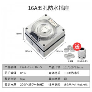 TOWE同为IP66国标10A 16A户外防水开关插座 户外防暴雨国标五孔插座 明装防水插座可浸泡水组合式防水插座 TW-F-CZ-G10 FS/G16/G1010/G1016/G310/G21016