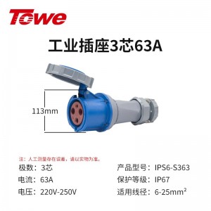 IPS6-S363 尼龙 2P+E 三芯 63A 220V-250V IP67