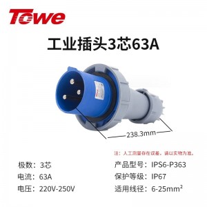 IPS6-P363 尼龙 2P+E 三芯 63A 220V-250V IP67