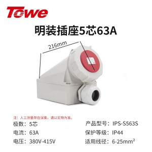 IPS-S563S 5芯 明装插座
