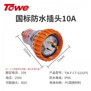 TW-F-CT-G10/FS 橙色尼龙， 国标插头10A 250V IP66